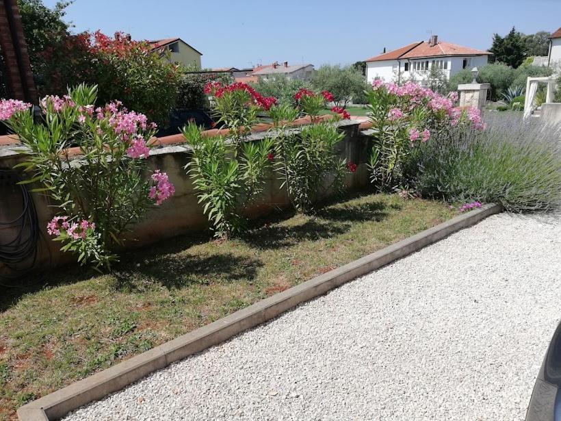 Apartments Oleander Lovrecica-Residence With Pool Exteriér fotografie
